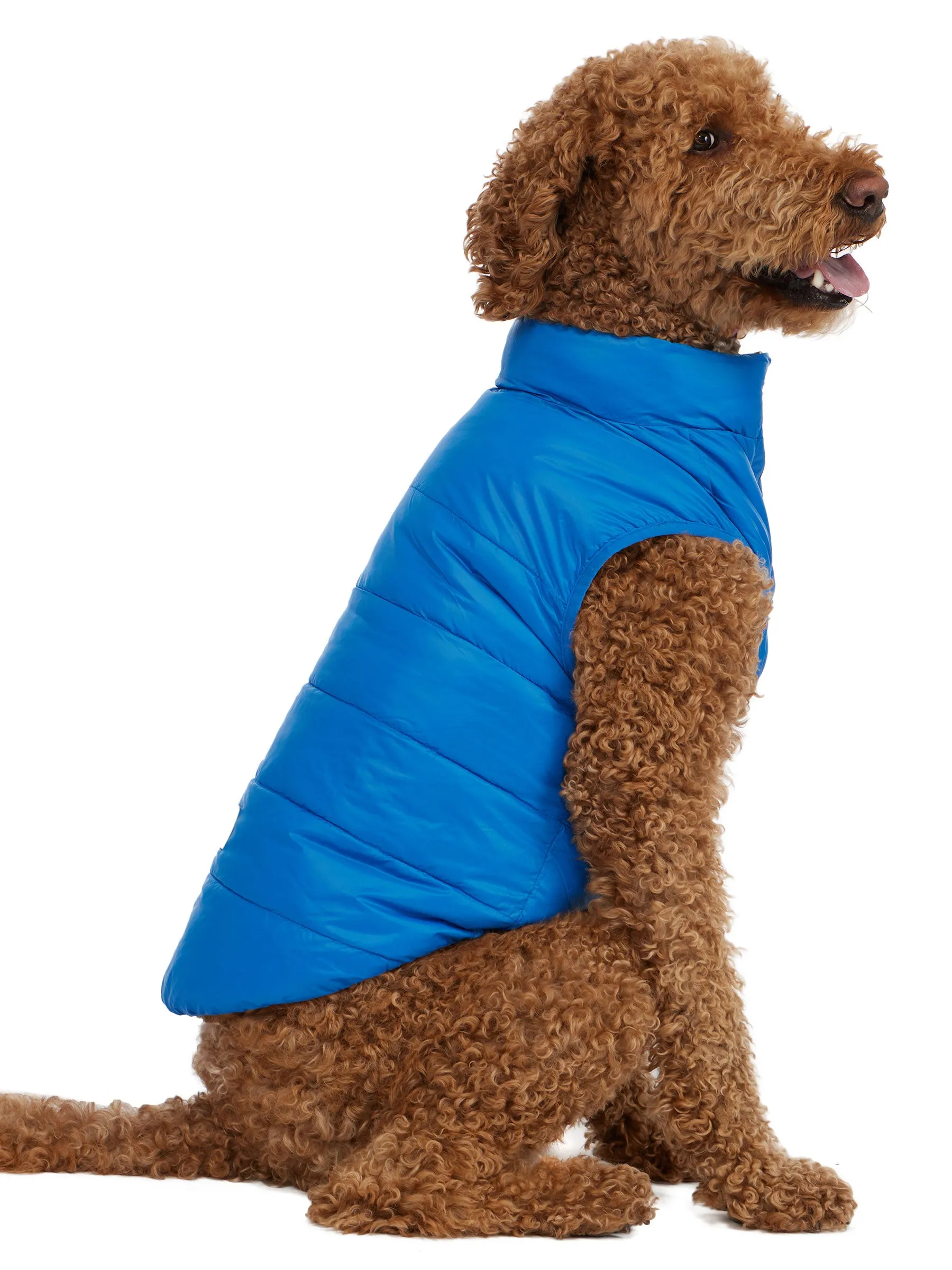 Cora Reversible Packable Puffer for Dogs