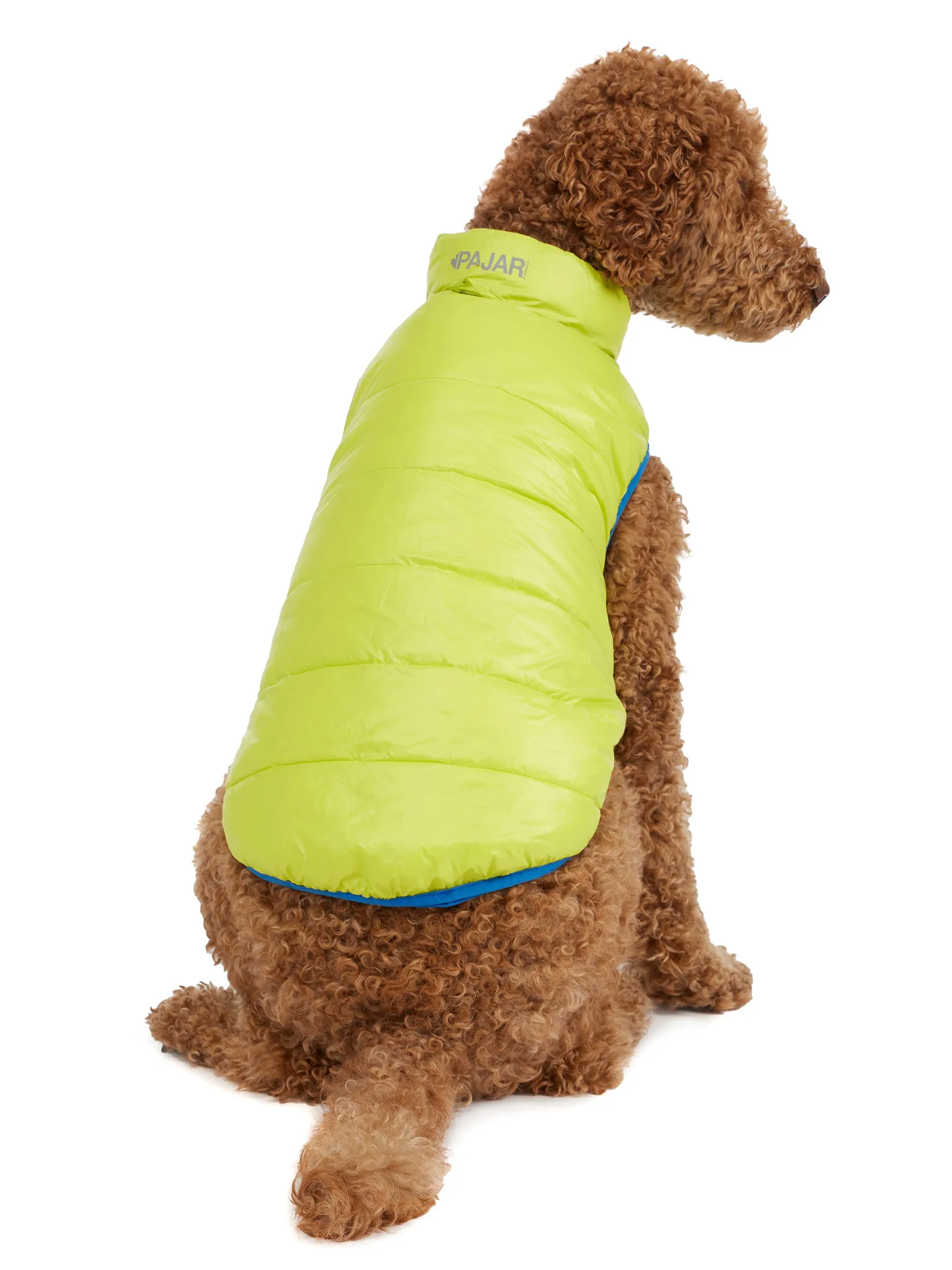 Cora Reversible Packable Puffer for Dogs