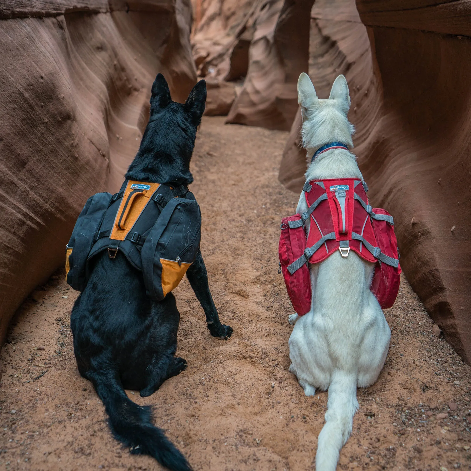 Kurgo Baxter Dog Backpack - Orange