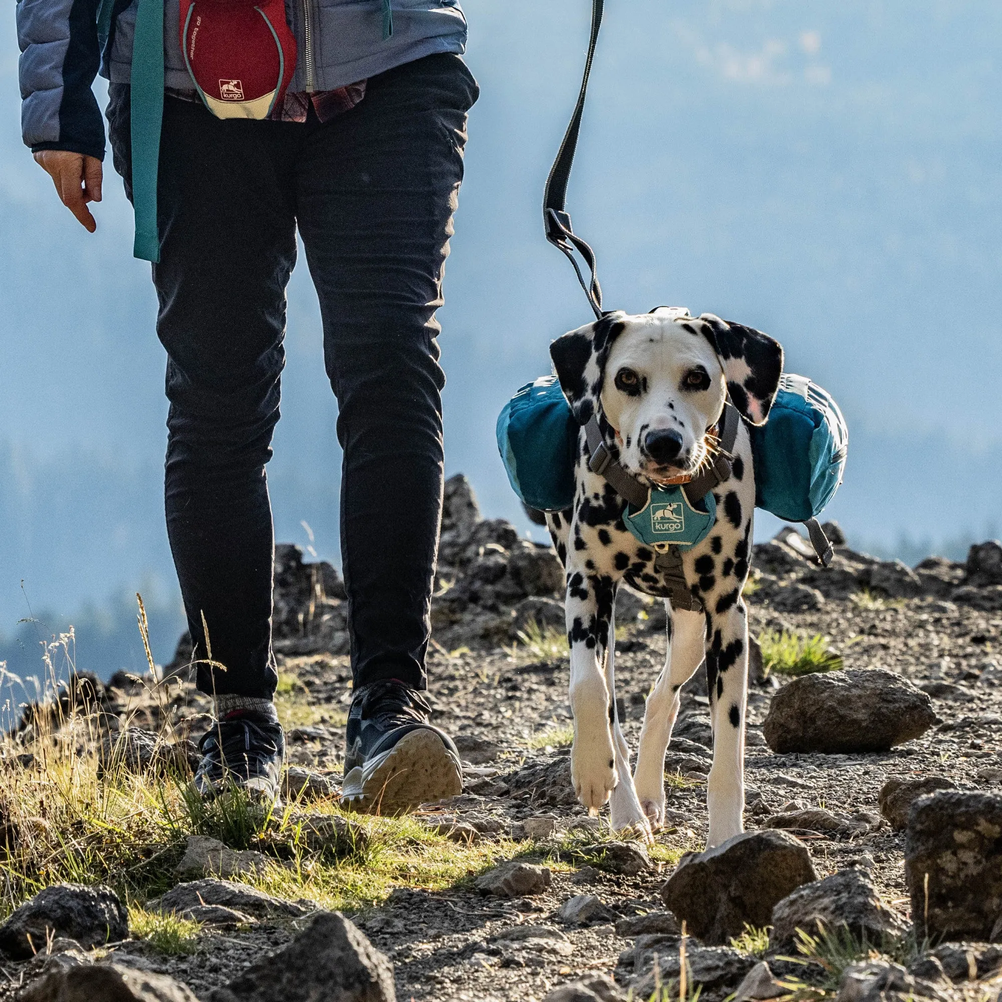 Kurgo Big Baxter Dog Backpack - Blue