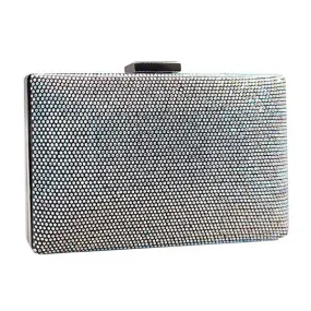 Shimmery Evening Clutch Bag